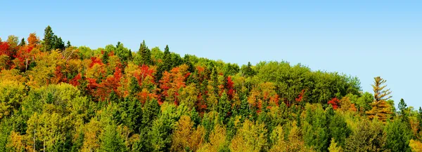 Panorama of mountain during fall — Stock Photo, Image