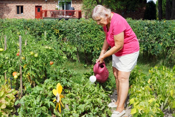 Senior woman watering garden — Stock Photo, Image