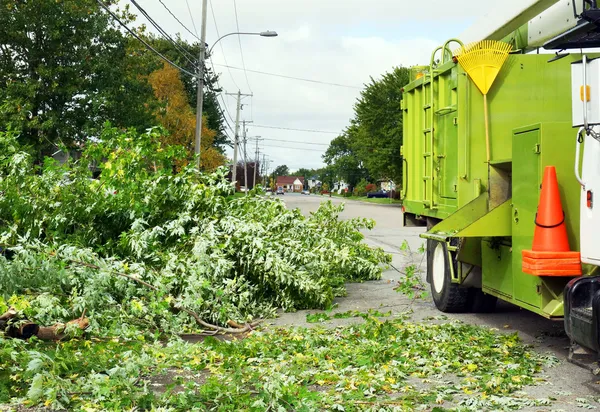 Hout chipper vrachtwagen — Stockfoto