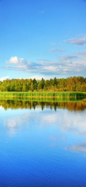 Verticale panorama van wetland — Stockfoto