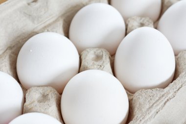 yumurta karton sandık