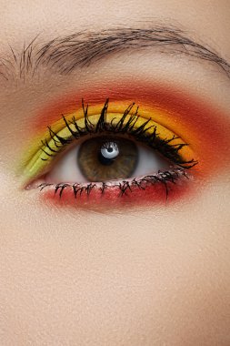 kozmetik ve güzellik bakımı. makro parlak moda pist Makyajlı kadın gözü yeşil güzel yakın çekim. Gökkuşağı göz gölgeler ve siyah göz kalemi