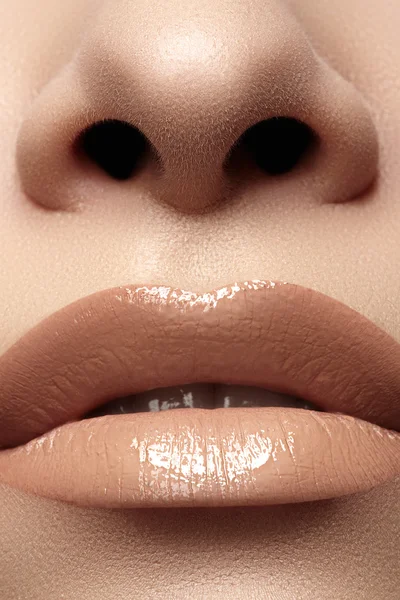 Schöne Hündin mit glänzenden Lippen in Nahaufnahme — Stockfoto