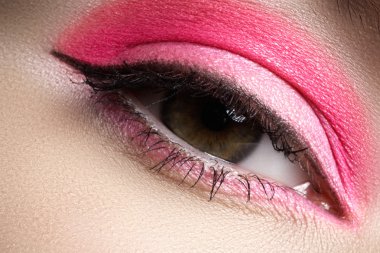 Cosmetics & make-up. Beautiful female eye with liner make-up