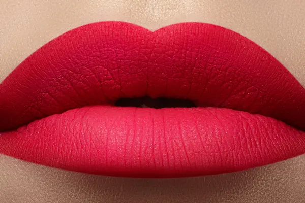 Schöne Hündin mit glänzenden Lippen in Nahaufnahme — Stockfoto