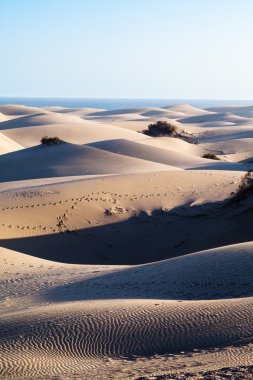 Maspalomas Dunes, Gran Canaria
