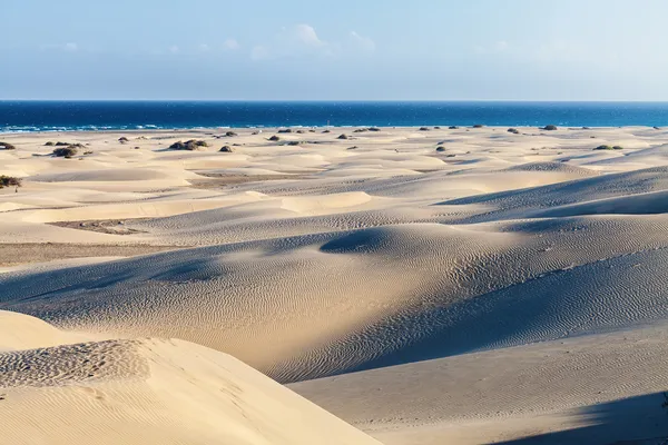 Gran Canaria Maspalomas dűnék Jogdíjmentes Stock Fotók