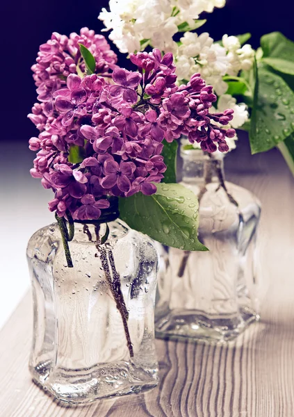 Bouquet di Lilla — Foto Stock