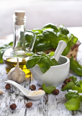 pesto malzemeler