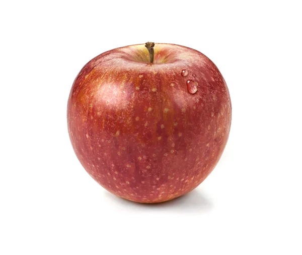 Apfel — Stockfoto