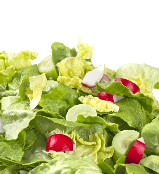 Verse salade — Stockfoto