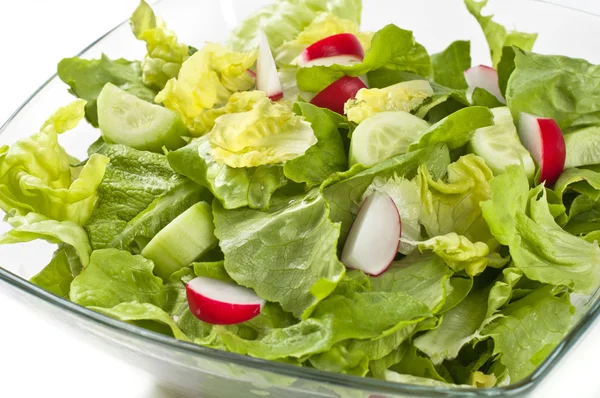 Frisk salat - Stock-foto