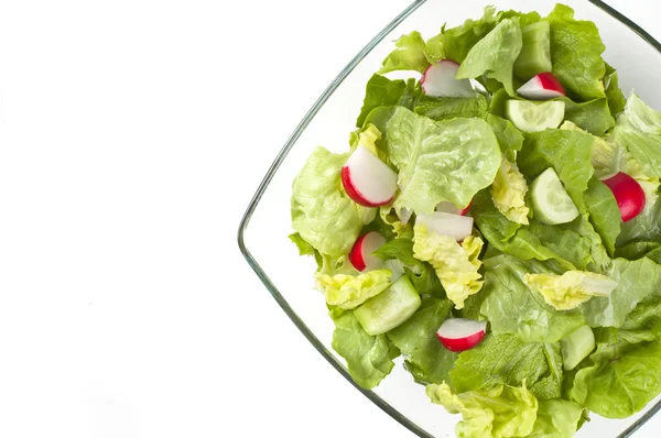 Frischer Salat — Stockfoto