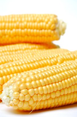 sarı mısır koçanı