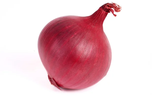 Ένα κόκκινο κρεμμύδι — Φωτογραφία Αρχείου