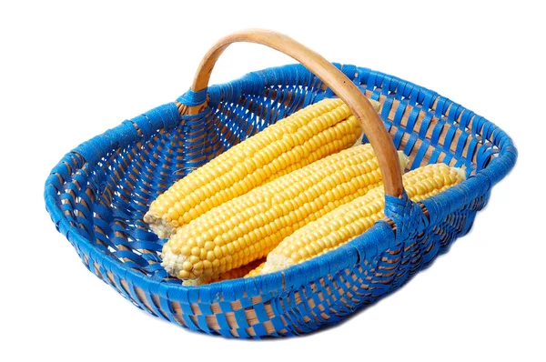 玉米在蓝色的篮子里 — 图库照片