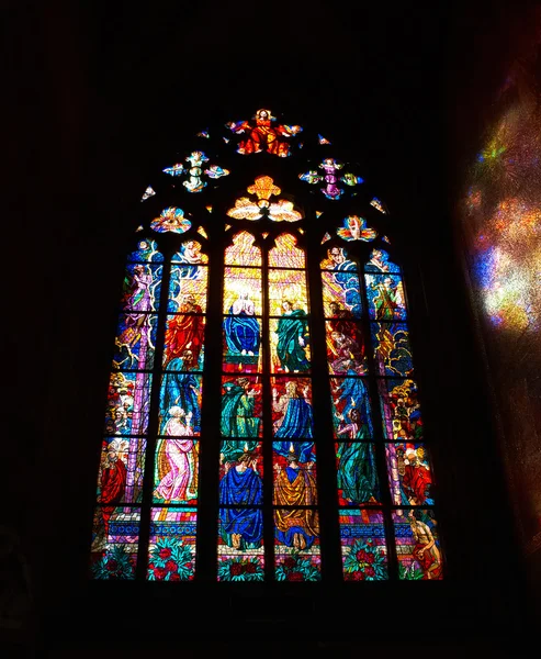 Stained glass in cathedral — Stock Photo, Image