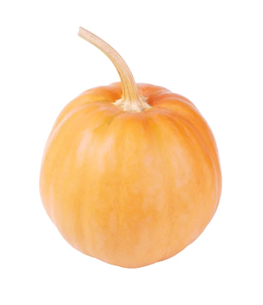 Una zucca arancione — Foto Stock