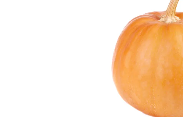 Uma abóbora laranja — Fotografia de Stock
