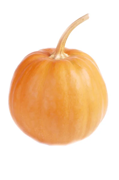 Naranja Calabaza brillante — Foto de Stock