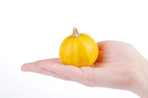 El tutma küçük kabak