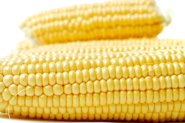 Raw yellow Corn — Stock Photo, Image