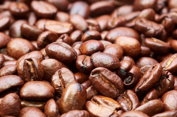 Coffee beans  texture — Stock Photo, Image