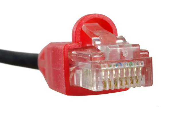 Connector and cable internet — Stock Photo, Image