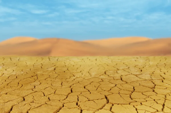 Drought — Stock Photo, Image