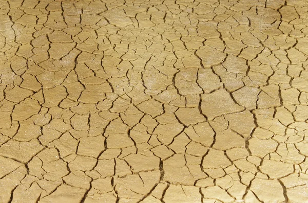 Drought — Stock Photo, Image