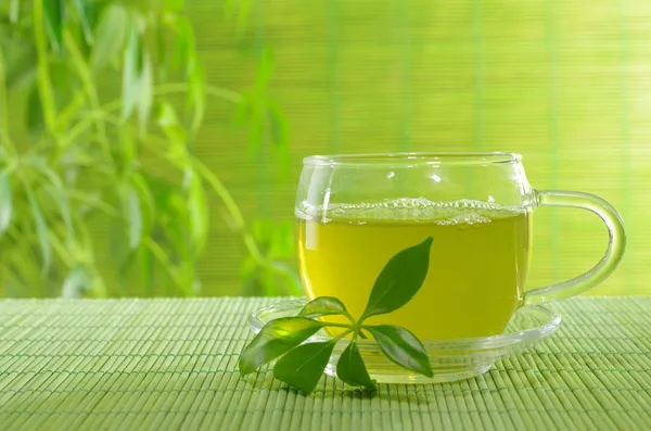 Green tea — Stock Photo, Image