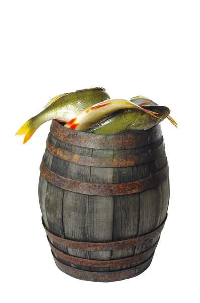 Fishes in barrel — Stock Photo, Image