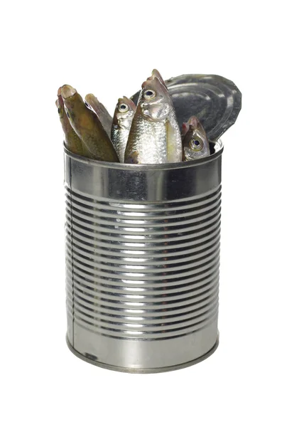 Свежая рыба в олове — стоковое фото
