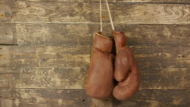 Vieux gants de boxe — Video