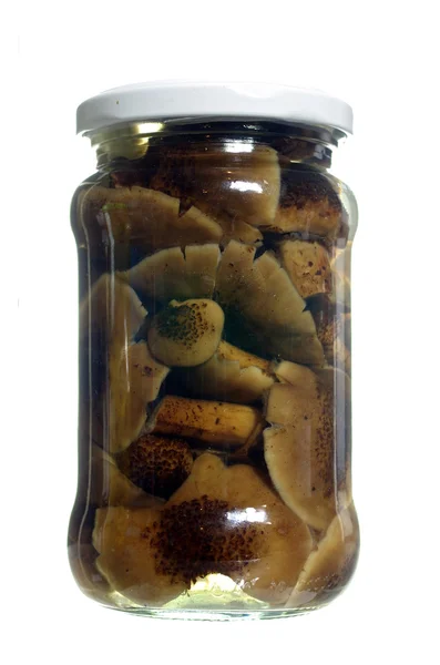Marinated honey fungus — Stock Photo, Image