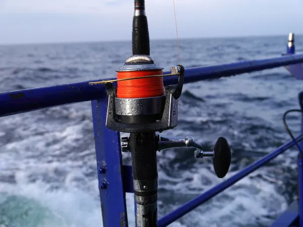 Caña de pescar con rueda giratoria —  Fotos de Stock