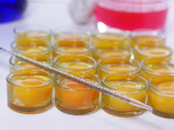 Вчений впорскує яєчні жовтки — стокове фото