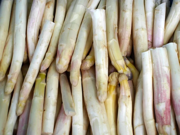 Witte asperges — Stockfoto