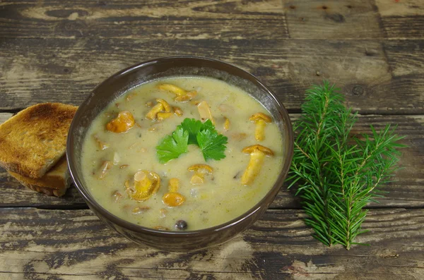 Sahnesuppe mit Pfifferlingen — Stockfoto