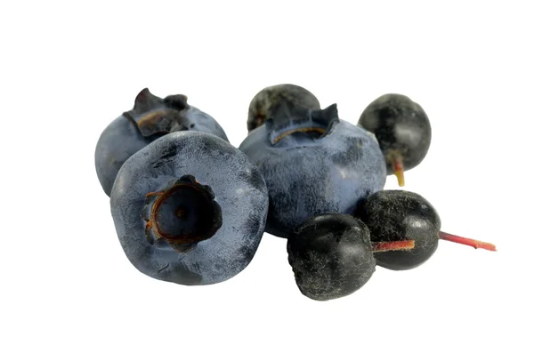 Blueberry dan aronia — Stok Foto