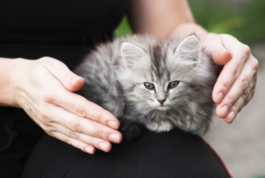 ...Artık benim bir evim var.