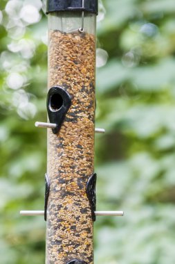 şeffaf plastik kuş Besleyici