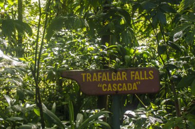 Dominika üzerinde ile Trafalgar tarihleri gösteren işaret