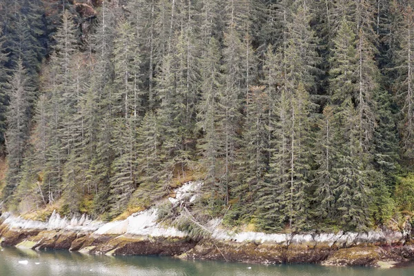 Is längs high water mark — Stockfoto