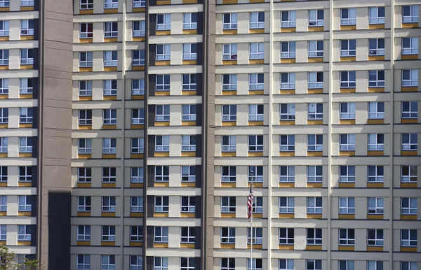 Many Windows on American Office — Stock Photo, Image