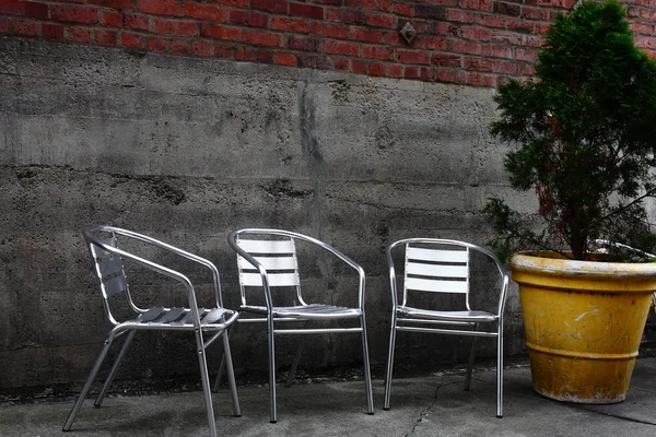 Tres sillas de plata y árbol en maceta —  Fotos de Stock