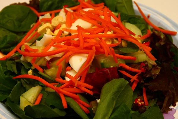 Verse spinazie, ei en wortel salade — Stockfoto