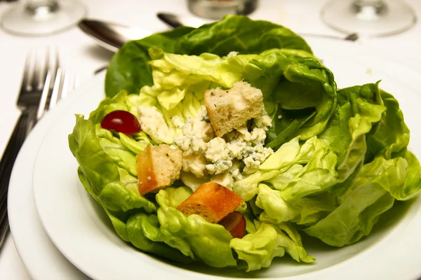 Salad of Lettuce Blue Cheese and Croutons — Stock Photo, Image