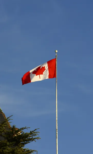 Bandiera canadese su cielo blu — Foto Stock