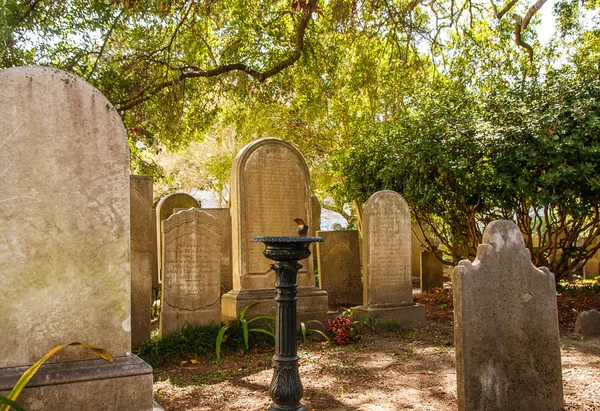 Gamla fontän i kyrkogård — Stockfoto